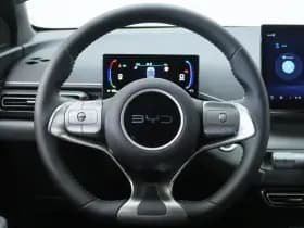 BYD Dolphin thumbnail 24