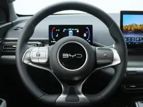 BYD Dolphin thumbnail 23