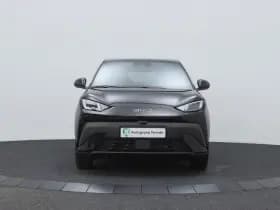 BYD Dolphin thumbnail 9