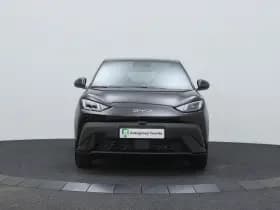 BYD Dolphin thumbnail 13