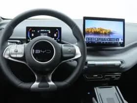 BYD Dolphin thumbnail 3