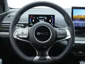 BYD Dolphin thumbnail 24