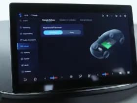 BYD Dolphin thumbnail 38