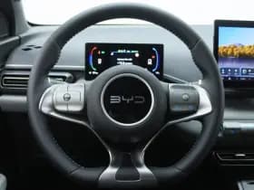 BYD Dolphin thumbnail 24