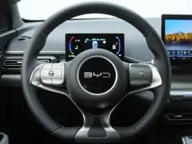 BYD Dolphin thumbnail 23