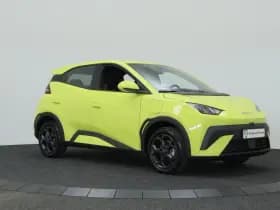 BYD Dolphin thumbnail 12