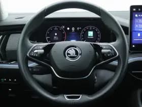 Škoda Kodiaq thumbnail 25