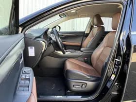 Lexus NX 300h AWD Luxury Line thumbnail 12