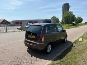 Lancia Musa thumbnail 6