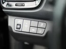 Kia Rio 1.0 TGDI Platinum Edition 1.0 TGDI Platinum Edition thumbnail 23