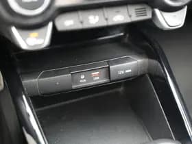 Kia Rio 1.0 TGDI Platinum Edition 1.0 TGDI Platinum Edition thumbnail 27