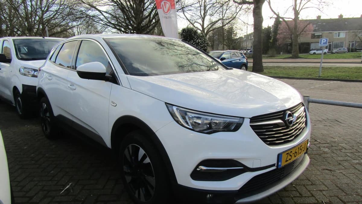 Opel Grandland X 1.2 Turbo 130pk S&S Innovation — foto 1