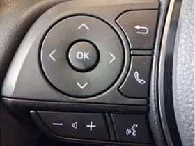 Toyota RAV4 2.5 Hybrid Awd Style thumbnail 23