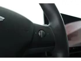 Tesla Model Y thumbnail 25