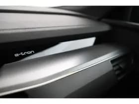 Audi e-tron thumbnail 20