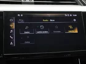 Audi e-tron thumbnail 19