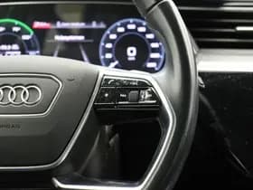 Audi e-tron thumbnail 18