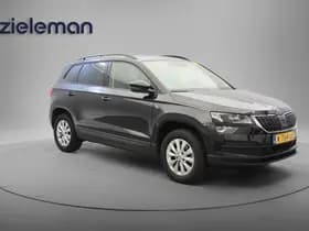 Škoda Karoq thumbnail 1