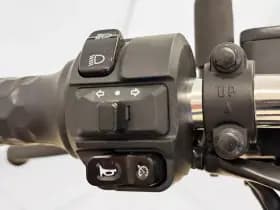 Nipponia Snorscooter eViball thumbnail 4