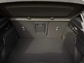 Ford Focus 1.0 Hybrid ST Line X thumbnail 13