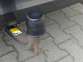 Ford Focus Wagon 1.5 Turbo 150pk Titanium Business | Trekgewicht 1500kg | Trekhaak | Winterpack | Cruise | thumbnail 46