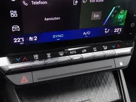 Renault Scénic thumbnail 13