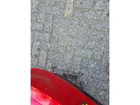Mitsubishi Colt thumbnail 30