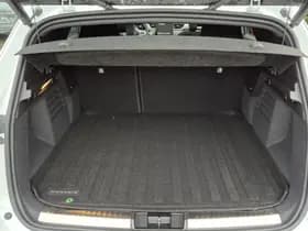 Mitsubishi Grandis thumbnail 9