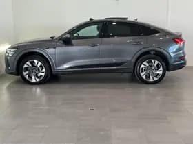 Audi e-tron thumbnail 16