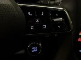 Renault Austral thumbnail 22