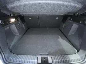 Mitsubishi Grandis thumbnail 14