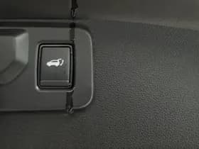 Mitsubishi Grandis thumbnail 28