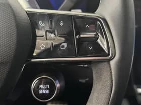 Renault Austral thumbnail 22