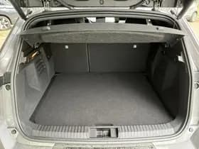 Mitsubishi Grandis thumbnail 30