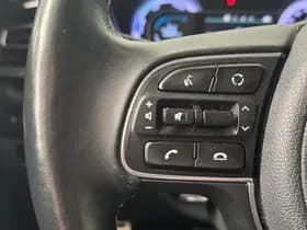 Kia Niro thumbnail 19