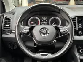 Škoda Karoq thumbnail 24