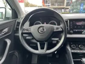 Škoda Karoq thumbnail 19