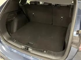 Ford Kuga thumbnail 25