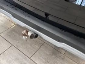 Ford Tourneo Custom Active 340 2.5 PHEV 233 pk L2 8 persoons thumbnail 5