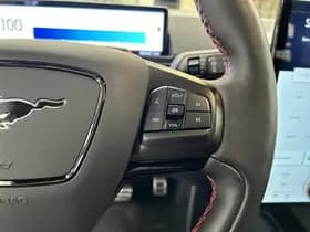 Ford Mustang Mach-E thumbnail 12