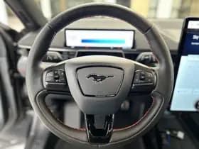 Ford Mustang Mach-E thumbnail 9