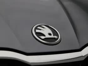 Škoda Fabia Selection 1.0 TSI 115 PK thumbnail 9