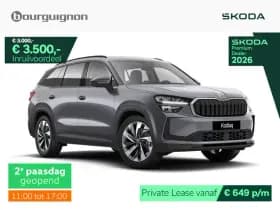 Škoda Kodiaq Business Edition Plus 1.5 TSI PHEV 204 PK