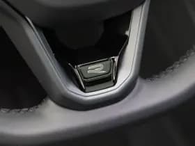 Volkswagen Tiguan R-Line Edition 1.5 eHybrid 204 PK thumbnail 22