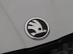 Skoda Enyaq Coupé iV 80 RS thumbnail 11