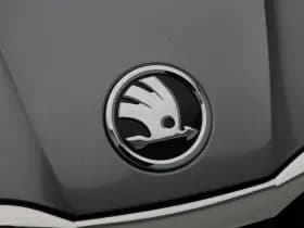 Skoda Fabia 1.0 TSi 115 Pk Automaat Selection thumbnail 9