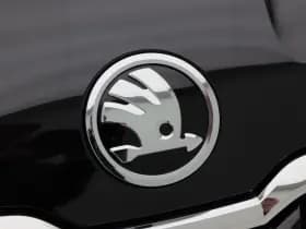 Skoda Karoq 1.5 TSi 150 Pk Automaat Business Edition thumbnail 24