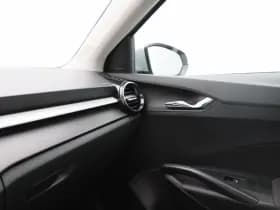 Skoda Fabia 1.0 TSi 110 Pk Automaat Business Edition thumbnail 25