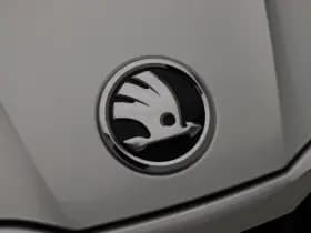 Skoda Fabia 1.0 TSi 110 Pk Automaat Business Edition thumbnail 9