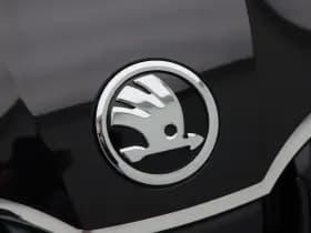 Skoda Octavia Combi 1.0 TSi 115 Pk Automaat Ambition Business thumbnail 11